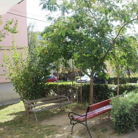 Apartament Anca Apartment Tirgu Ocna Bagian luar foto